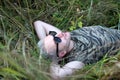A young handsome bearded blonde guy wearing black sunglasses lying on the grass and looking up to sky. Royalty Free Stock Photo