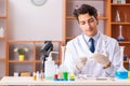 The young handsome biochemist working in the lab Royalty Free Stock Photo