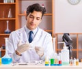 Young handsome biochemist working in the lab Royalty Free Stock Photo