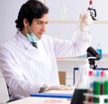 The young handsome chemist working in the lab Royalty Free Stock Photo