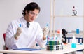 Young handsome chemist working in the lab Royalty Free Stock Photo