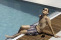 Young handsome hipster man relaxed sunbathing while having a drink in the swimming pool area in summer time Royalty Free Stock Photo