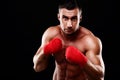 Young handsome male boxer in stance Royalty Free Stock Photo