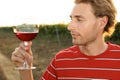 Young handsome man enjoying wine at vineyard Royalty Free Stock Photo