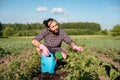 Young handsome man grows plants in his garden, takes care of planting potatoes with a watering can in his hands, spring concept in Royalty Free Stock Photo