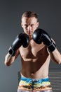 Portrait of boxer in Boxing gloves on gray background