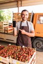 Young handsome man point on the phone with copyspace in front collect tomatoes boxes at greenhouse. Online phone sales of tomato o Royalty Free Stock Photo