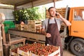 Young handsome man talk on phone with costumers in front collect tomatoes boxes at greenhouse. Online phone sales of tomato orders Royalty Free Stock Photo