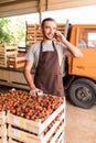 Young handsome man talk on phone with costumers in front collect tomatoes boxes at greenhouse. Online phone sales of tomato orders Royalty Free Stock Photo