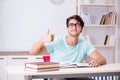 The young handsome student preparing for school exams Royalty Free Stock Photo