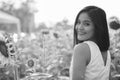 Young happy Asian woman smiling and looking back in the field of blooming sunflowers Royalty Free Stock Photo