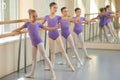 Young happy ballerinas rehearsing in ballet class. Royalty Free Stock Photo