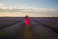 Young happy and beautiful Asian Japanese woman in Summer dress enjoying nature free and playful outdoors at purple lavender Royalty Free Stock Photo