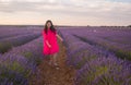 Young happy and beautiful Asian Japanese woman in Summer dress enjoying nature free and playful outdoors at purple lavender Royalty Free Stock Photo