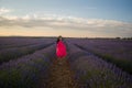 Young happy and beautiful Asian Korean woman in Summer dress enjoying nature running free and playful outdoors at purple lavender Royalty Free Stock Photo