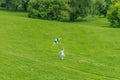 Young happy child girl playing with bright kite in park Royalty Free Stock Photo