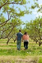 Couple Walking Through Apple Royalty Free Stock Photo