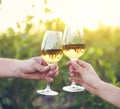 Young happy couple enjoying a glasses of white wine Royalty Free Stock Photo