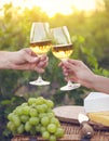 Young happy couple enjoying a glasses of white wine Royalty Free Stock Photo