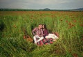 Young happy couple hugging and kissing on the poppy field, love Royalty Free Stock Photo