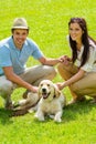 Young happy couple with Labrador dog Royalty Free Stock Photo