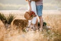 cropped photo of couple in love hugging on nature. Man and woman hugging, sunlight in summer meadow. Happy family in Royalty Free Stock Photo