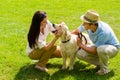 Young happy couple playing with Labrador dog Royalty Free Stock Photo