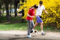 Young happy couple running with a dog Royalty Free Stock Photo