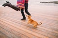 Young happy couple walking with dog and having fun on the rainy berth in autumn. Sea background Royalty Free Stock Photo