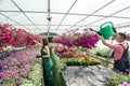 Young happy couple working watering plants in the flower center Royalty Free Stock Photo