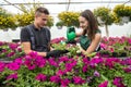 Young happy couple working watering plants in the flower center Royalty Free Stock Photo