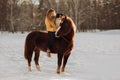Young happy cute smiling woman with her dog border collie sit on horse in snow field on sunset. yrllow dress Royalty Free Stock Photo