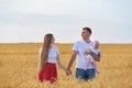 Young happy family resting in countryside. Mom dad and kid in wheat field Royalty Free Stock Photo