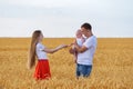 Young happy family walking through wheat field with small child. Mom, dad and baby outside Royalty Free Stock Photo