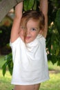 A young happy girl hangs from a tree Royalty Free Stock Photo