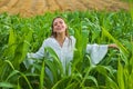 Young happy girl showing harvested corn in the field. American woman in a white dress harvests corn. Young woman farmer Royalty Free Stock Photo