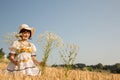 Young happy girl walking in a wheat field and picks flowers. Royalty Free Stock Photo