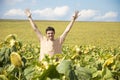 Young happy man in a sunflower field Royalty Free Stock Photo