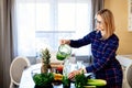 Young happy pregnant woman pouring green smoothie to glass cup Royalty Free Stock Photo