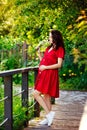 A young happy pregnant woman in a red dress with flowers in her hands is resting and enjoying life in nature Royalty Free Stock Photo