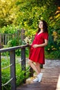 A young happy pregnant woman in a red dress with flowers in her hands is resting and enjoying life in nature Royalty Free Stock Photo