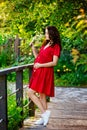 A young happy pregnant woman in a red dress with flowers in her hands is resting and enjoying life in nature Royalty Free Stock Photo