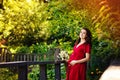 A young happy pregnant woman in a red dress with flowers in her hands is resting and enjoying life in nature Royalty Free Stock Photo