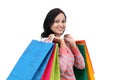 Young happy smiling woman with shopping bags Royalty Free Stock Photo