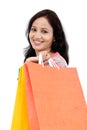 Young happy smiling woman with shopping bags Royalty Free Stock Photo