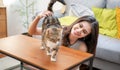 Young happy wirl play with cat in room. Royalty Free Stock Photo