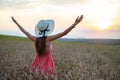 Young happy woman in red summer dress and white straw hat standing on yellow farm field with ripe golden wheat raising up her arms Royalty Free Stock Photo