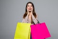 Young happy woman shopping bags over grey background Royalty Free Stock Photo