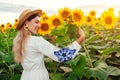 Young happy woman walking in blooming sunflower field at sunset hugging, smelling flowers. Summer vacation in Ukraine Royalty Free Stock Photo