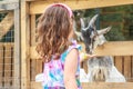 Young happy young girl feeding goat on farm Royalty Free Stock Photo